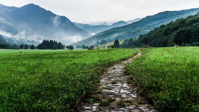 Der Weg zum eigenen Unternehmen